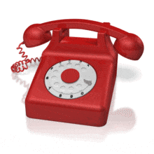 694-202-289 // 684-739-882